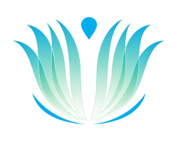 ReNew Dental Care Logo Icon Only